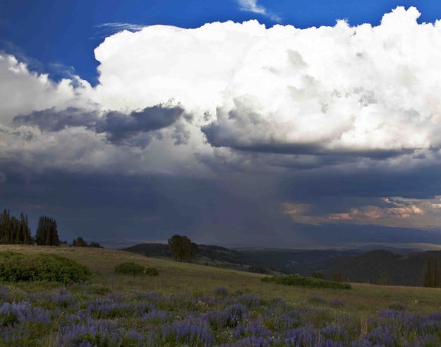 Shower In The Upper Green River Basin. Photo by Dave Bell.