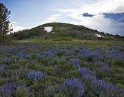 Lookout Peak. Photo by Dave Bell.