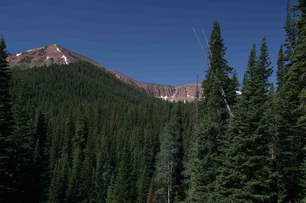 High Ridges Dominate View From Trail. Photo by Dave Bell.