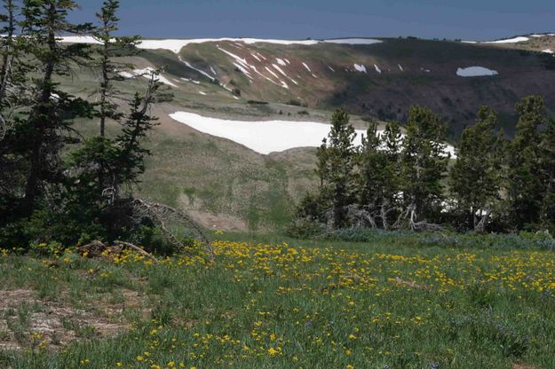 HIgh Ridges West Of Lunch Creek. Photo by Dave Bell.