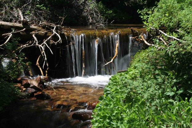 Small Waterfall. Photo by Dave Bell.