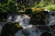 Tumbling Brook. Photo by Dave Bell.