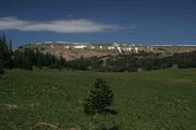 Lunch Creek Meadows. Photo by Dave Bell.