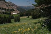 Salt River Range From Lunch Creek Meadows. Photo by Dave Bell.