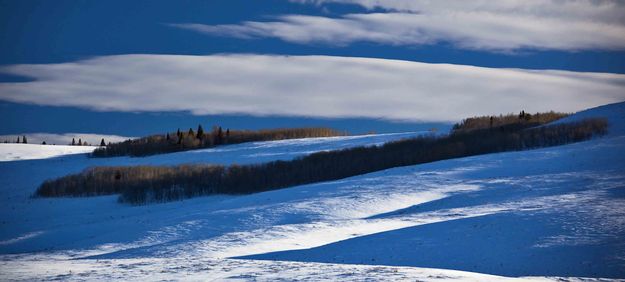 Morning Shadows. Photo by Dave Bell.