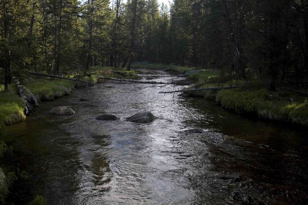 Big Sandy Creek. Photo by Dave Bell.