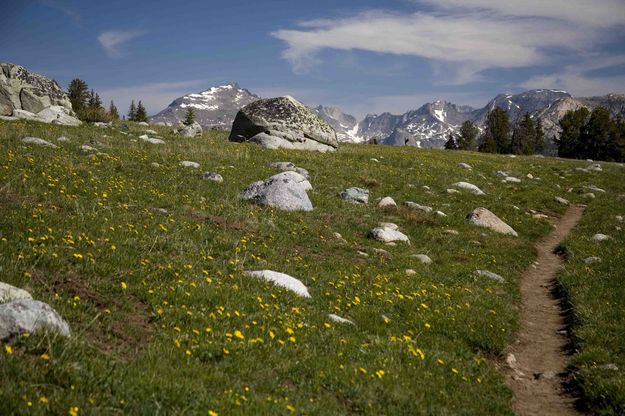 Fish Creek Park Trail. Photo by Dave Bell.