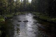 Big Sandy Creek. Photo by Dave Bell.