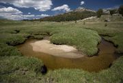 Meandering Stream. Photo by Dave Bell.