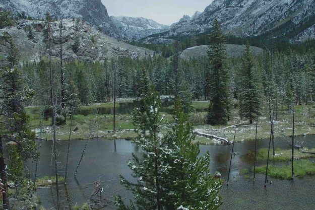 Ponds. Photo by Dave Bell.