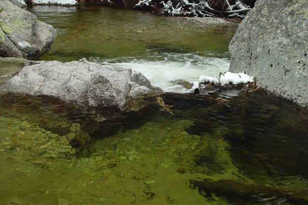 Clear New Fork Pool. Photo by Dave Bell.