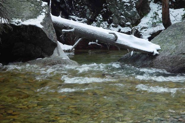 Flowing Water At Trail Crossing. Photo by Dave Bell.