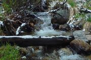 Tumbling Water In Canyon. Photo by Dave Bell.