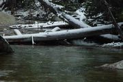 New Fork River At Trail Crossing. Photo by Dave Bell.