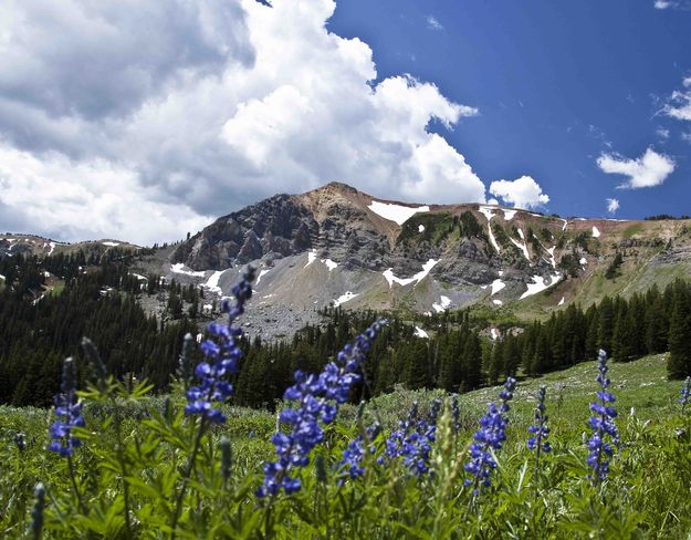 McDougal Middle Summit. Photo by Dave Bell.