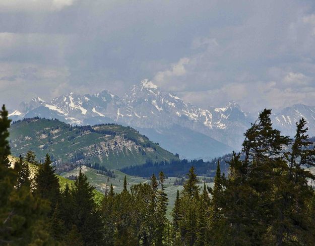 Grand Teton. Photo by Dave Bell.