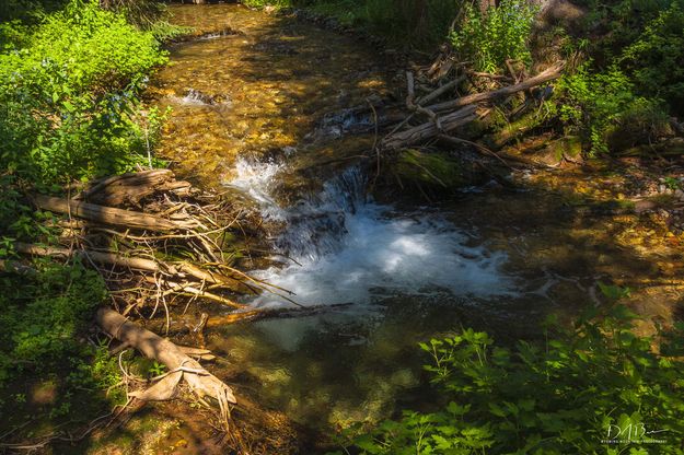 Beautiful Sheep Creek. Photo by Dave Bell.