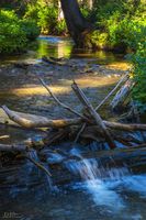 Beautiful Meandering Sheep Creek. Photo by Dave Bell.