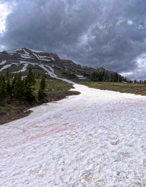 McDougall Snowfield Chute. Photo by Dave Bell.