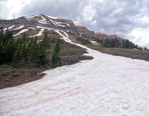 McDougall Snowfield. Photo by Dave Bell.