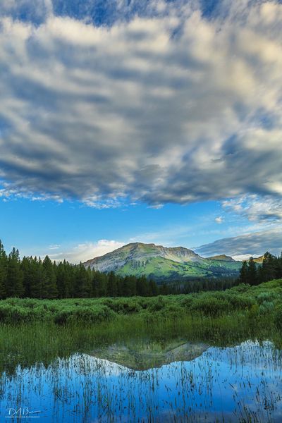 One Of Those Wow Scenes. Photo by Dave Bell.