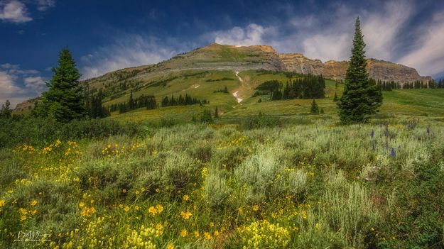 McDougall South Summit. Photo by Dave Bell.