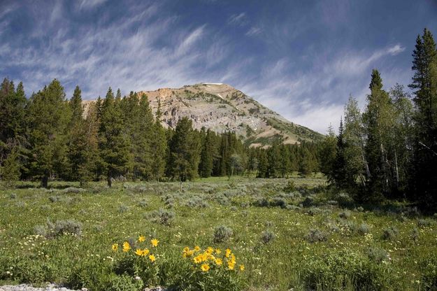 Mt. McDougal. Photo by Dave Bell.