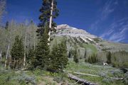 Mt. McDougal and Kleinstick Mine. Photo by Dave Bell.