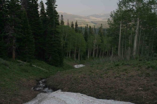 Snowy Gulch. Photo by Dave Bell.