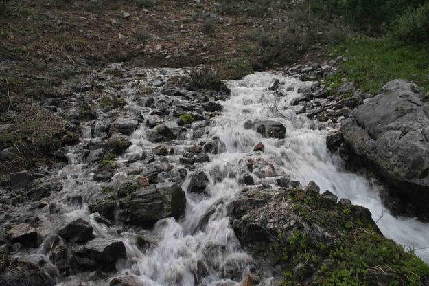 Gushing Spring--Sweetest Water Anywhere!. Photo by Dave Bell.