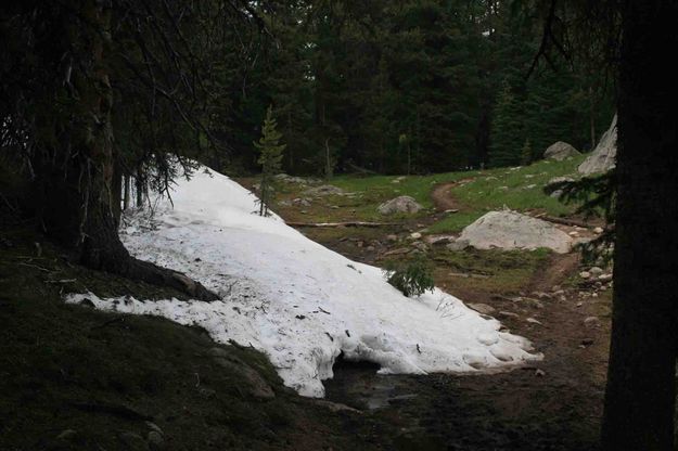 Plenty Of The White Stuff Left. Photo by Dave Bell.