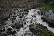 Gushing Spring--Sweetest Water Anywhere!. Photo by Dave Bell.