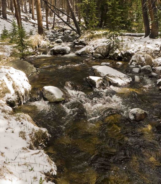 Snowy Creek. Photo by Dave Bell.