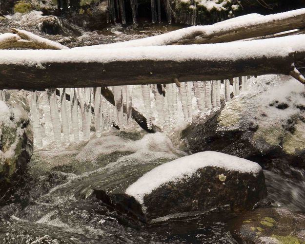 Icy Mask. Photo by Dave Bell.