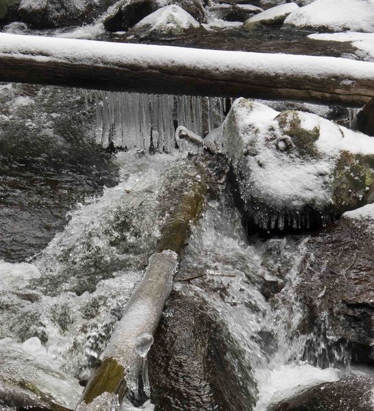 Icicles. Photo by Dave Bell.