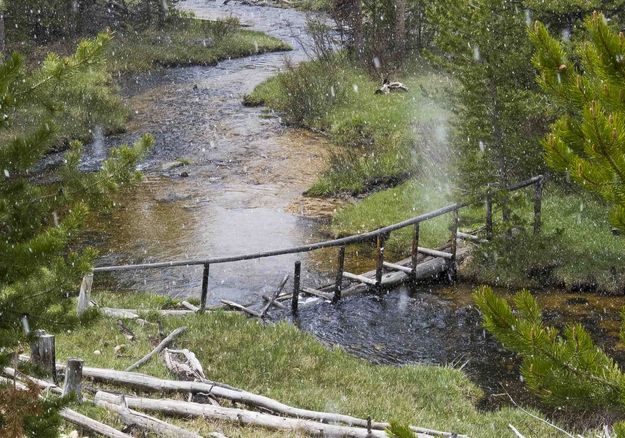 Larsen Creek Bridge. Photo by Dave Bell.