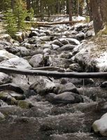 Icy Creek. Photo by Dave Bell.