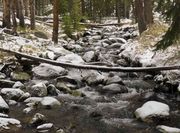 Beautiful Stream. Photo by Dave Bell.