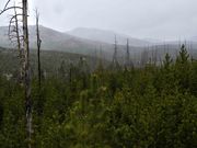 Ridgelines. Photo by Dave Bell.