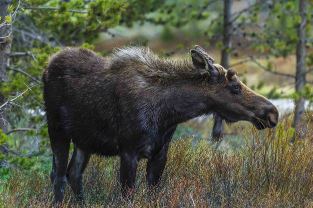 Lunch. Photo by Dave Bell.