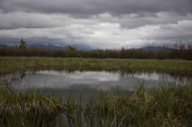 Reflection. Photo by Dave Bell.