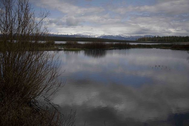 Mosquito Lake In The Shade. Photo by Dave Bell.