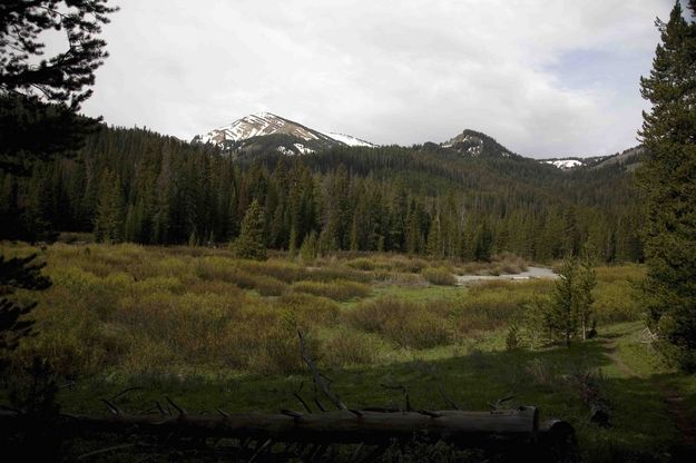 Hoback River At Trailhead. Photo by Dave Bell.