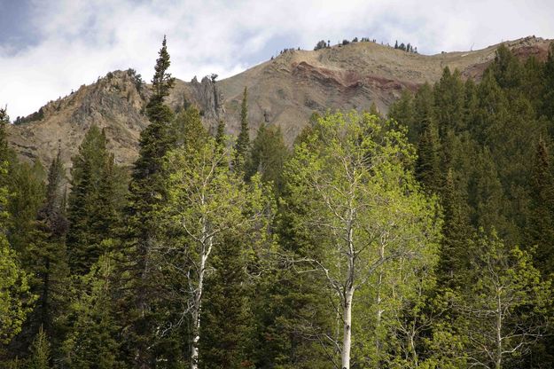 Ridgeline Above Hoback River. Photo by Dave Bell.