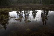 Reflection In Tarn. Photo by Dave Bell.