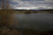 Mosquito Lake With Sun. Photo by Dave Bell.