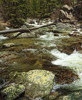 Gorgeous Water. Photo by Dave Bell.