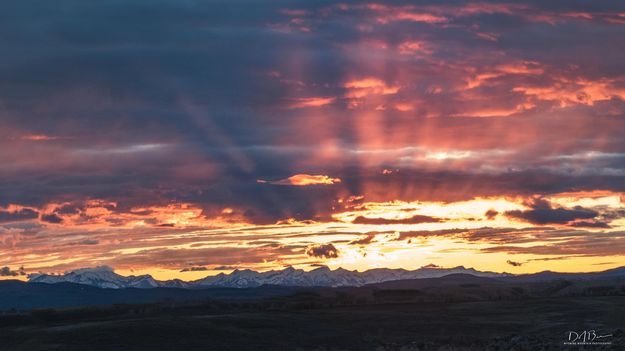 Sunray Silhouette. Photo by Dave Bell.