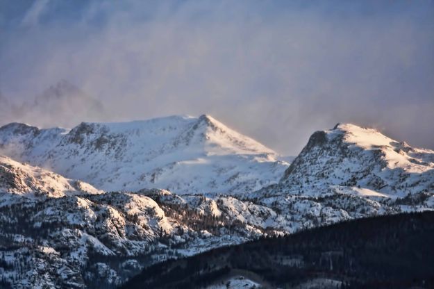 Morning Light. Photo by Dave Bell.