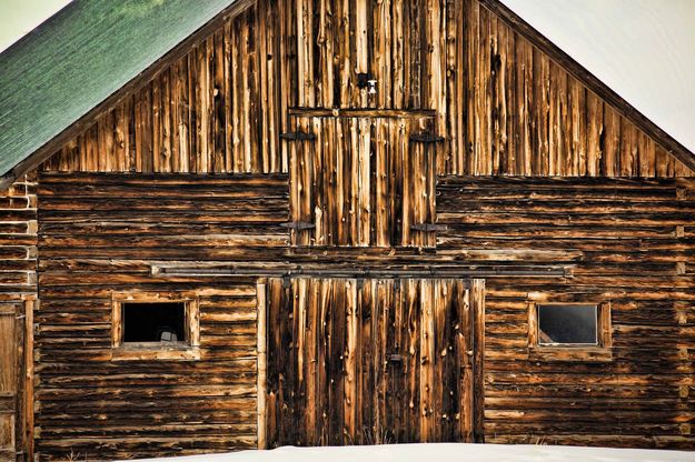 Old Wood Face!. Photo by Dave Bell.